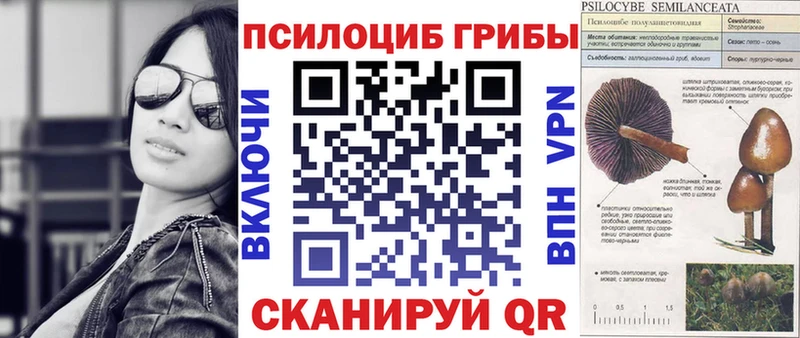 Псилоцибиновые грибы MAGIC MUSHROOMS Купить закладки Сасово