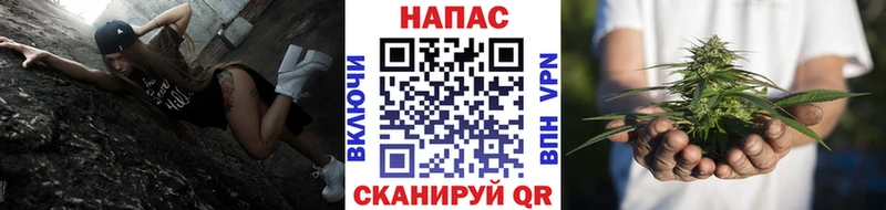 Купить закладки  Сасово  Марихуана план 